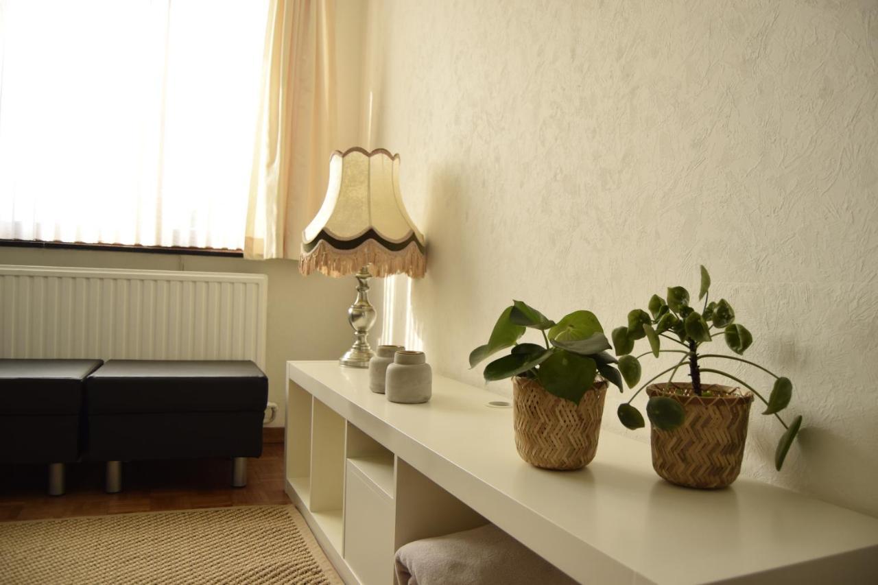 Vakantiewoning Wurfeldermolen 马泽克 外观 照片