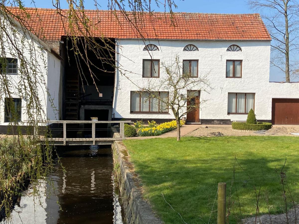 Vakantiewoning Wurfeldermolen 马泽克 外观 照片