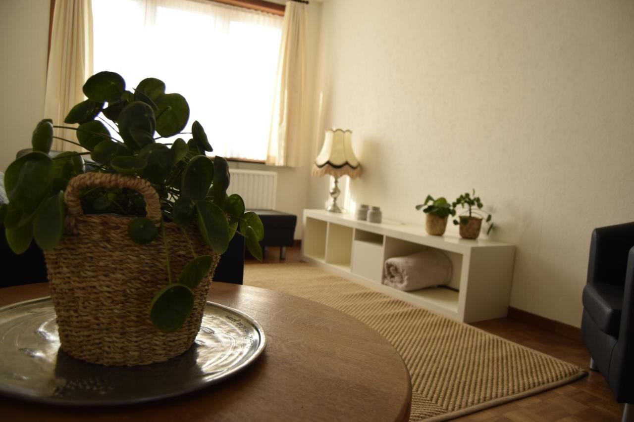 Vakantiewoning Wurfeldermolen 马泽克 外观 照片