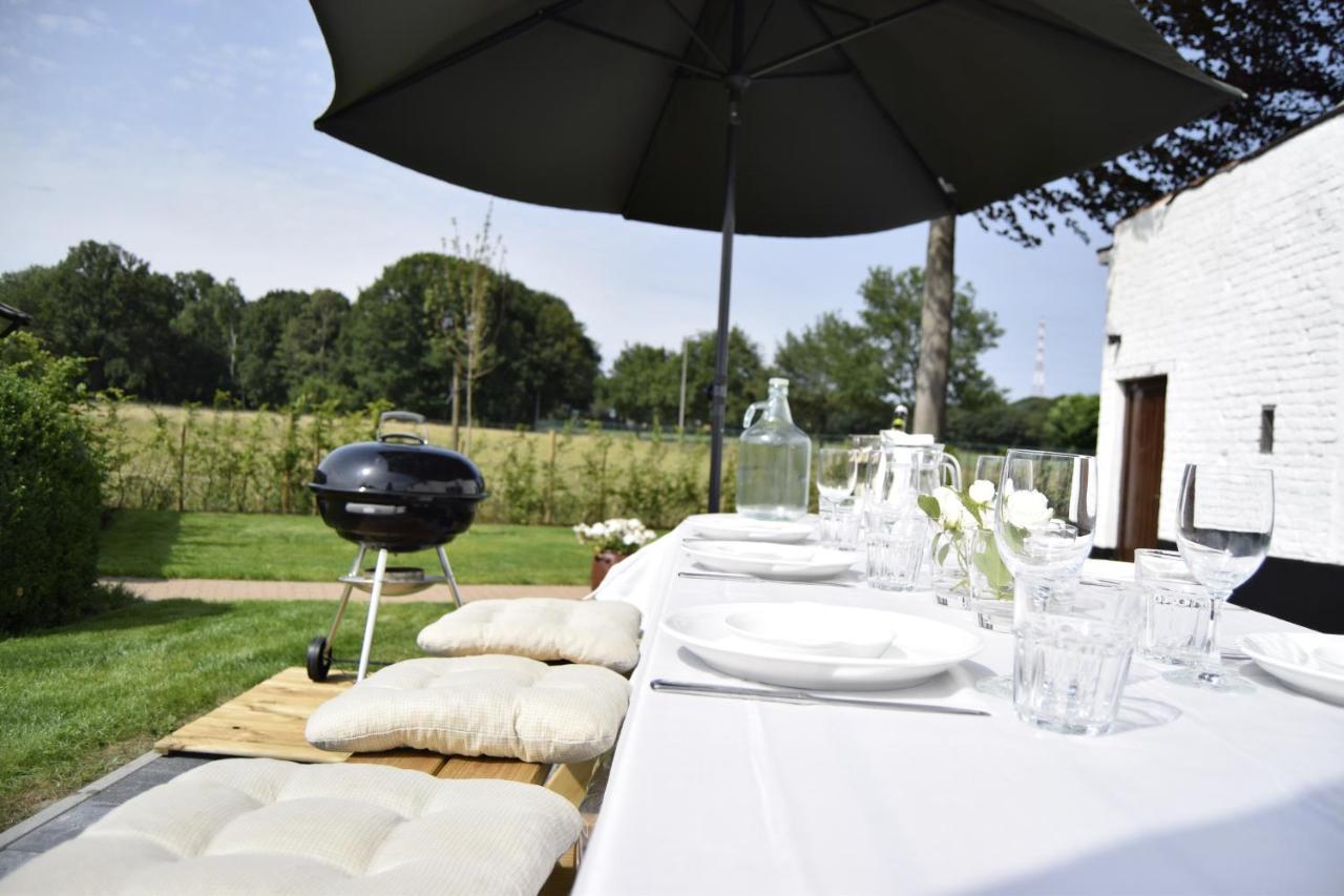 Vakantiewoning Wurfeldermolen 马泽克 外观 照片