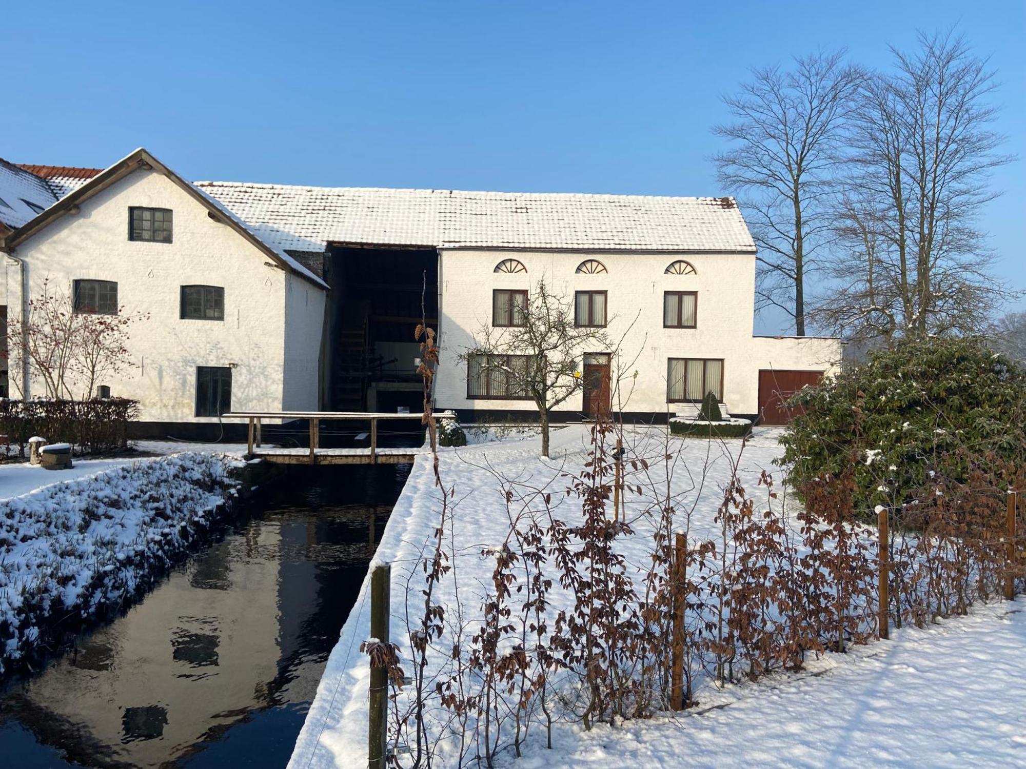 Vakantiewoning Wurfeldermolen 马泽克 外观 照片